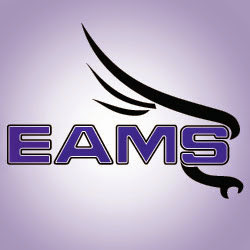 EAMS Falcons